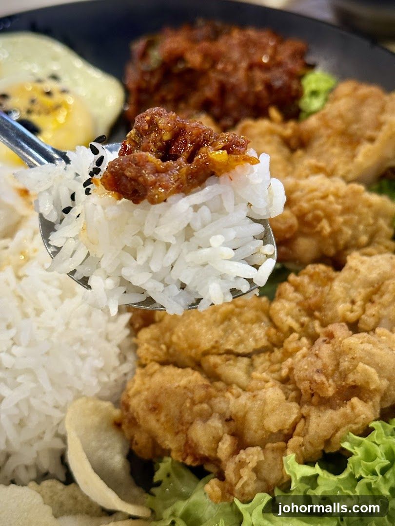 Fried Chicken with Rice and Egg