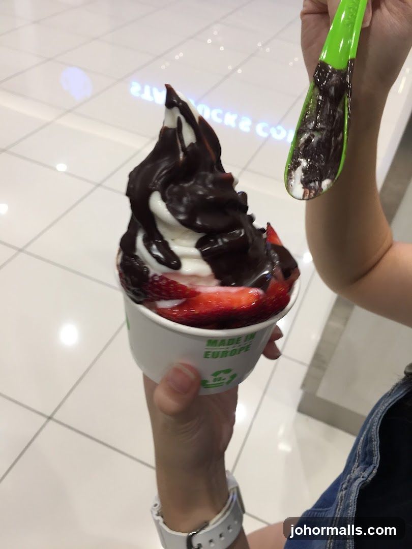 Frozen Yogurt with Strawberries and Chocolate