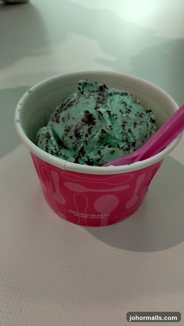 Mint Chocolate Chip Ice Cream