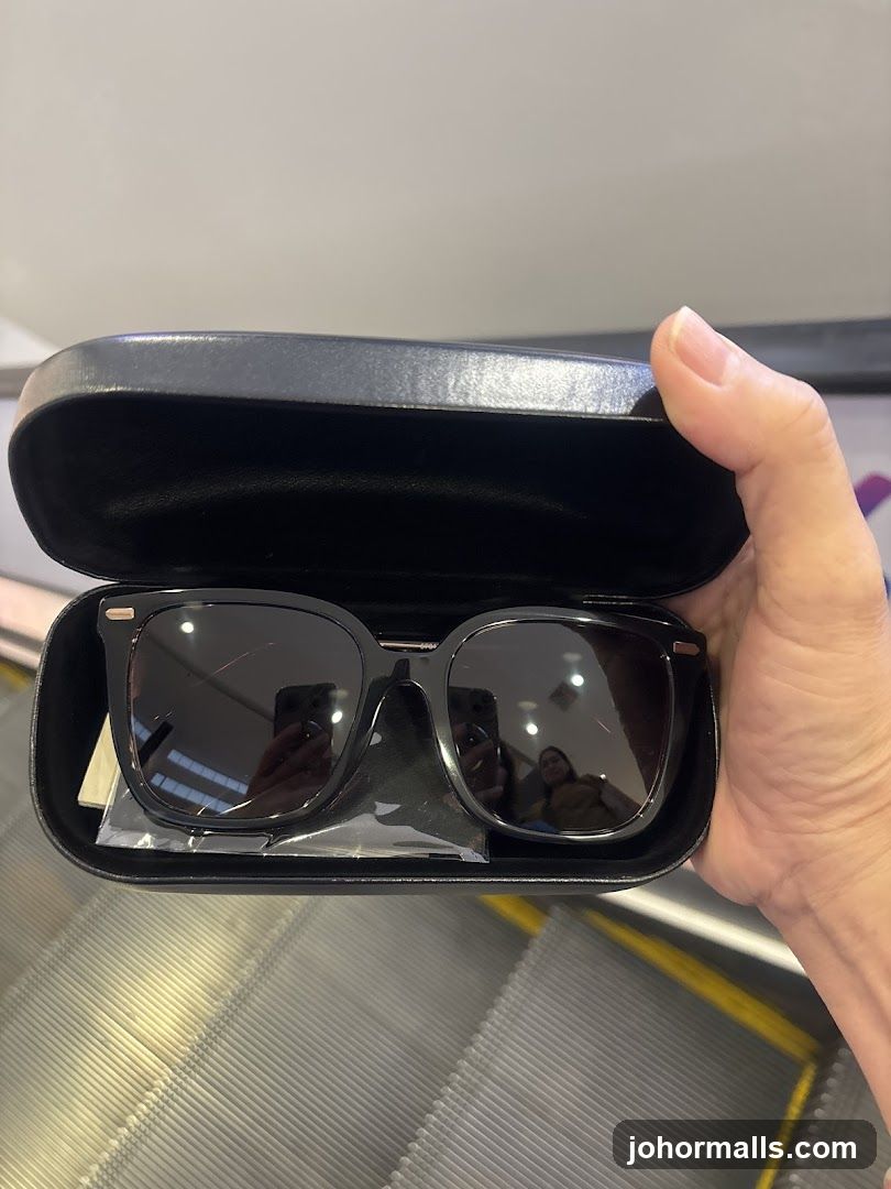 Black Sunglasses in Case