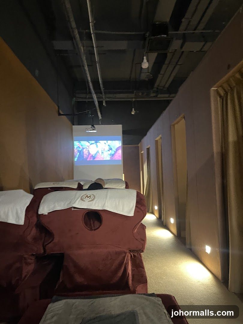Massage Chairs with Projector Screen