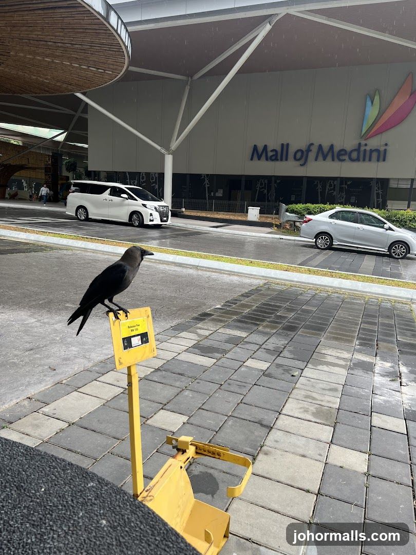 Mall of Medini Entrance with Crow
