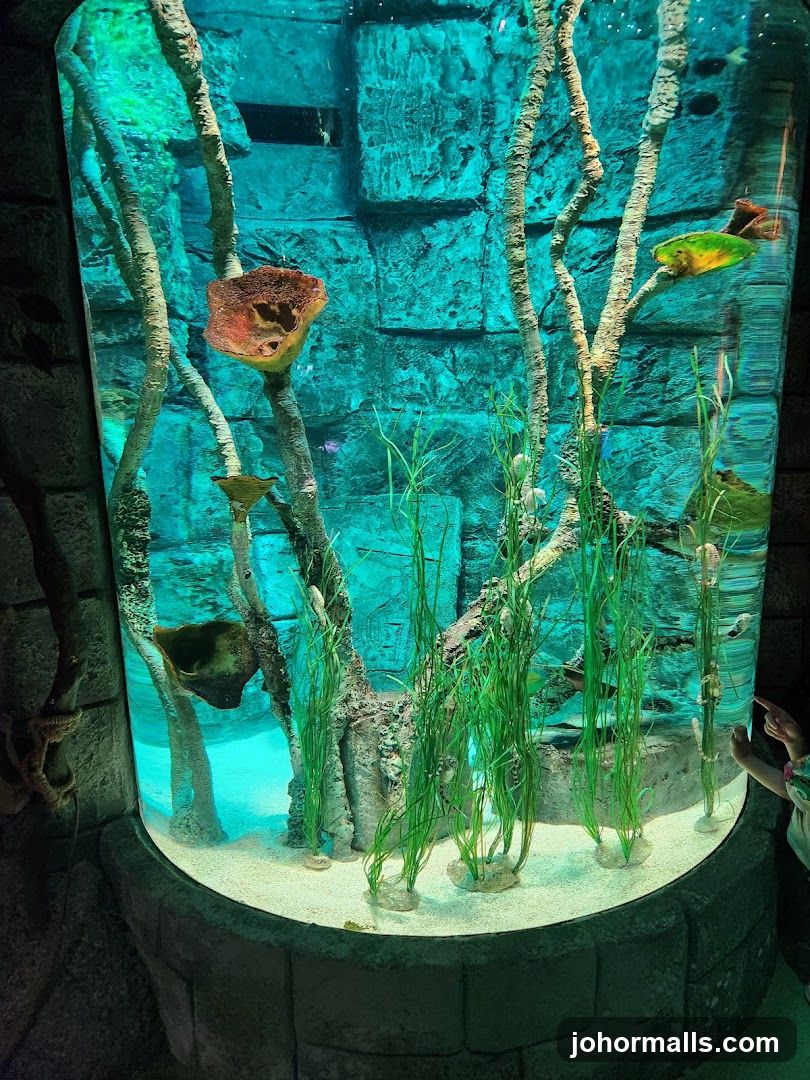 Aquarium Exhibit