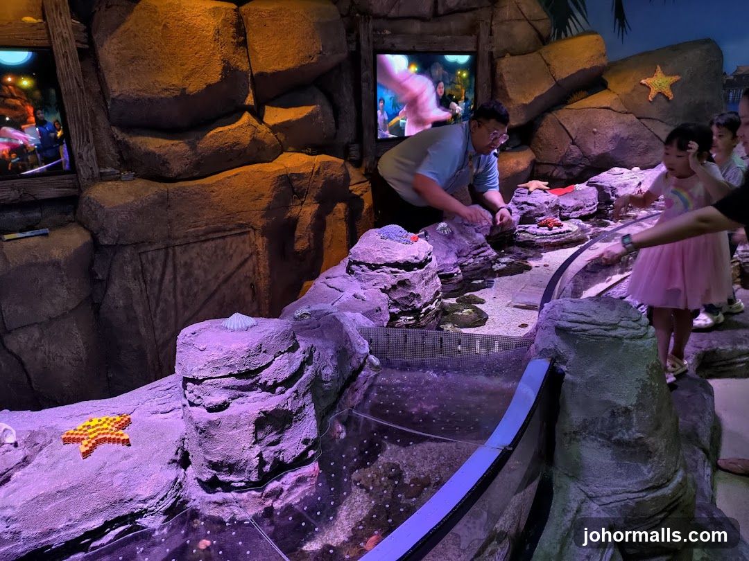 Interactive Aquarium Exhibit
