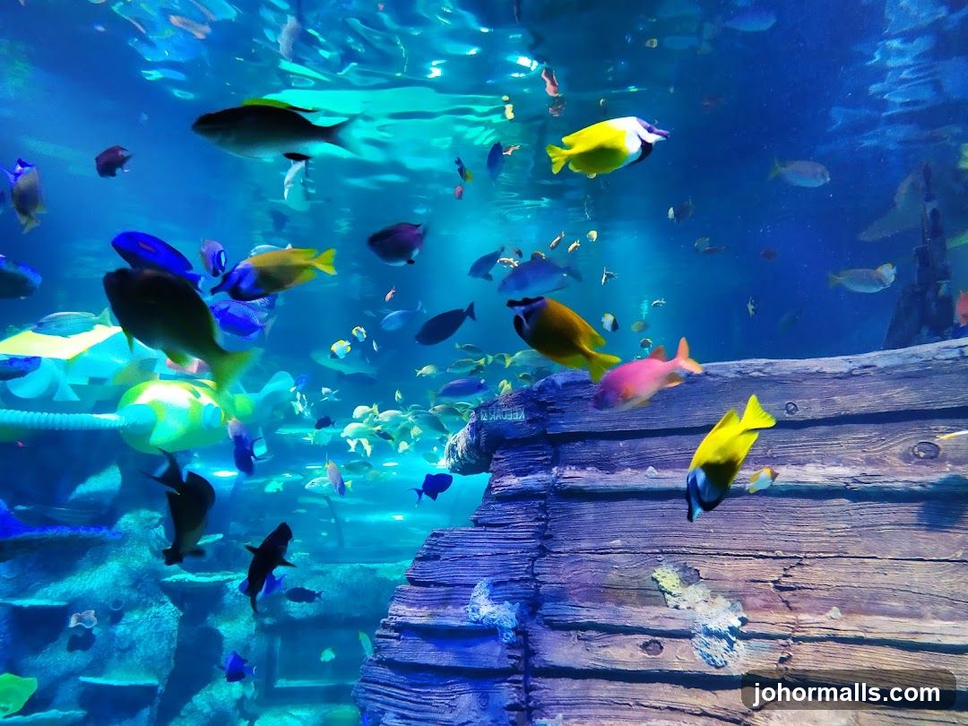 Underwater Scene with Fish
