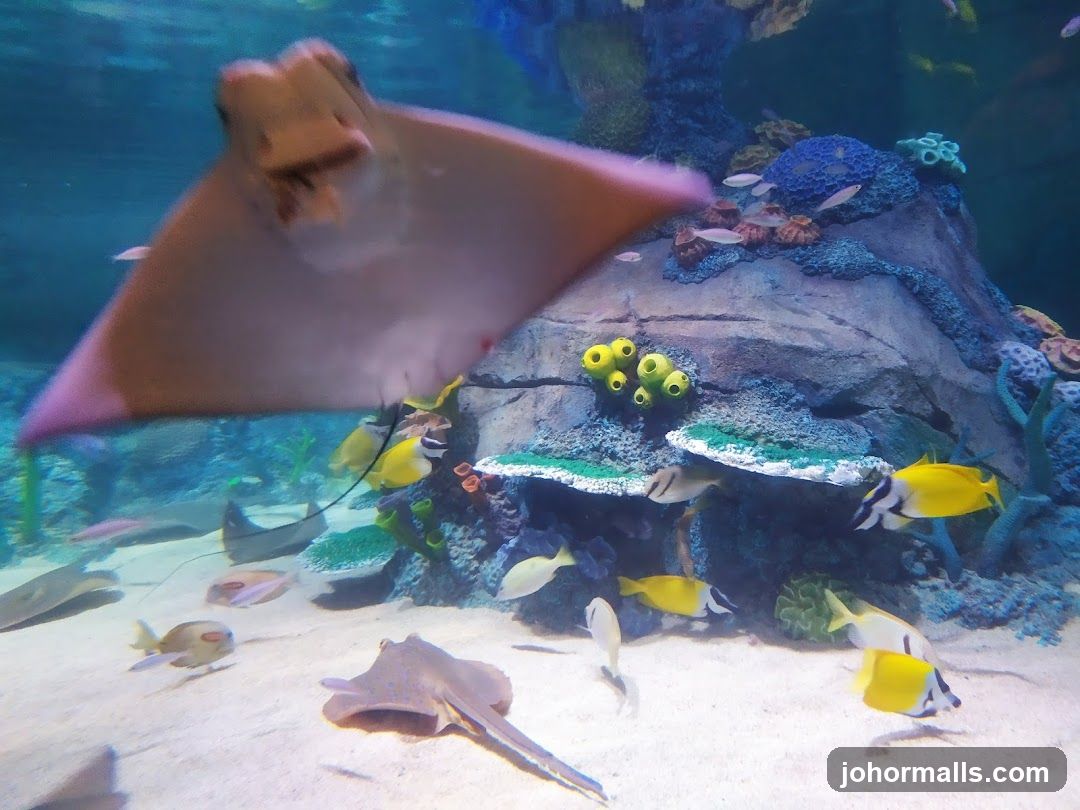 Aquarium Exhibit