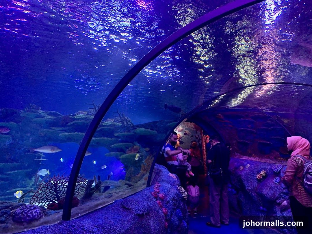 Aquarium Tunnel