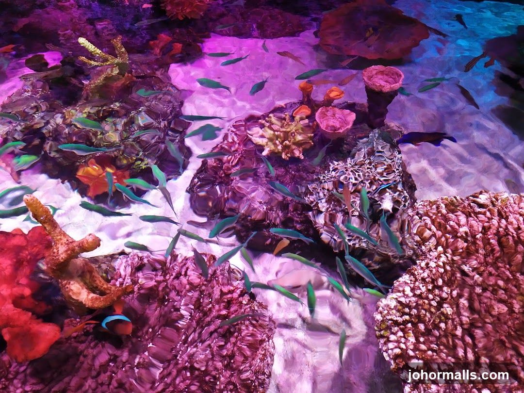 Aquarium Scene