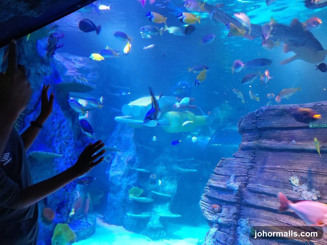 Aquarium Exhibit