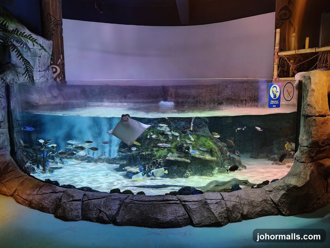 Aquarium Exhibit