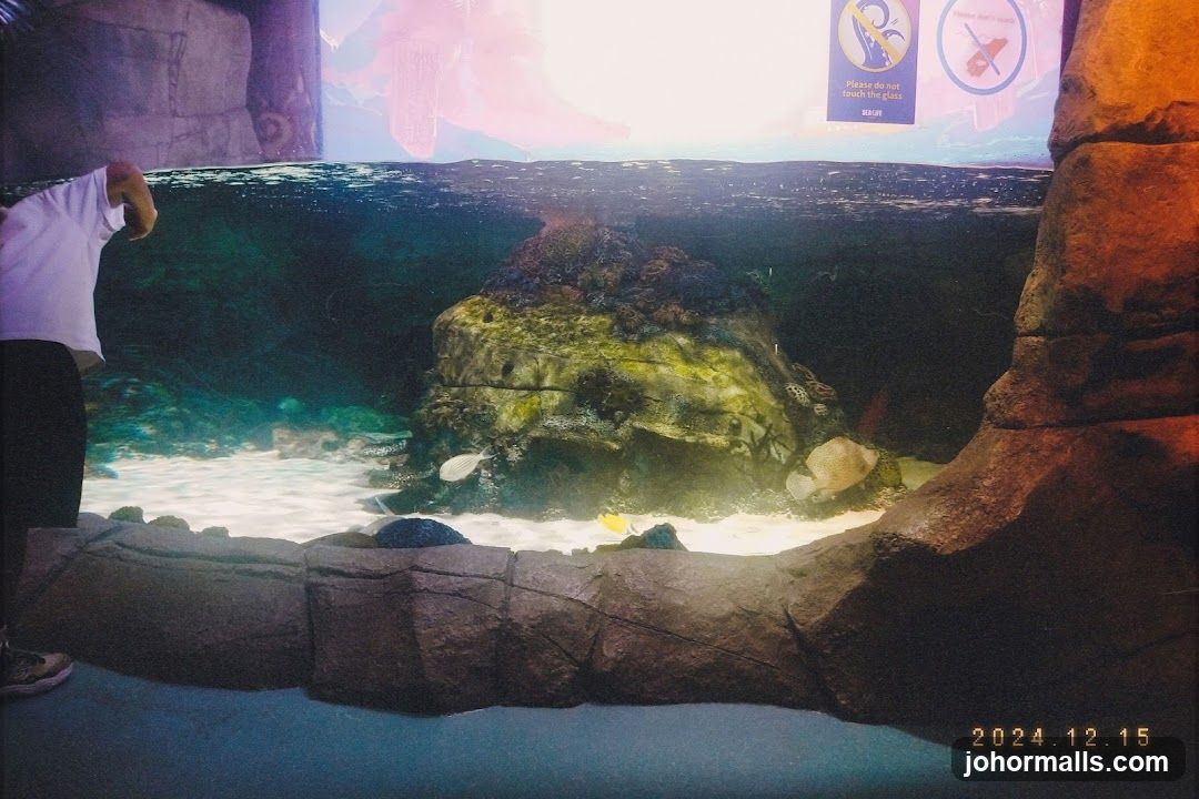 Aquarium Exhibit