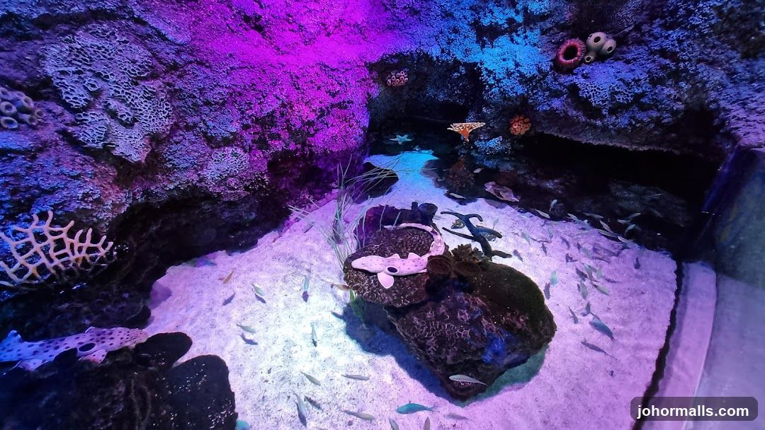 Aquarium Exhibit