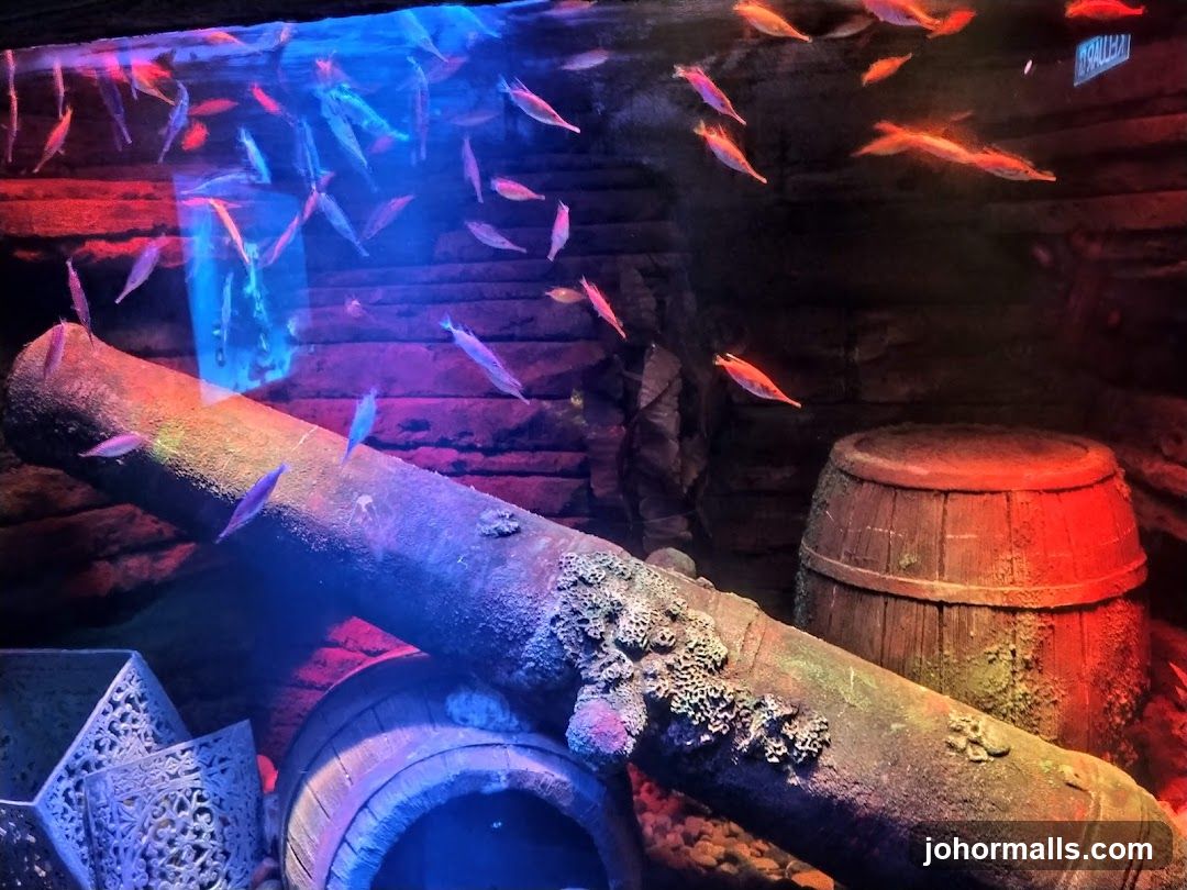 Aquarium Display with Cannon and Fish