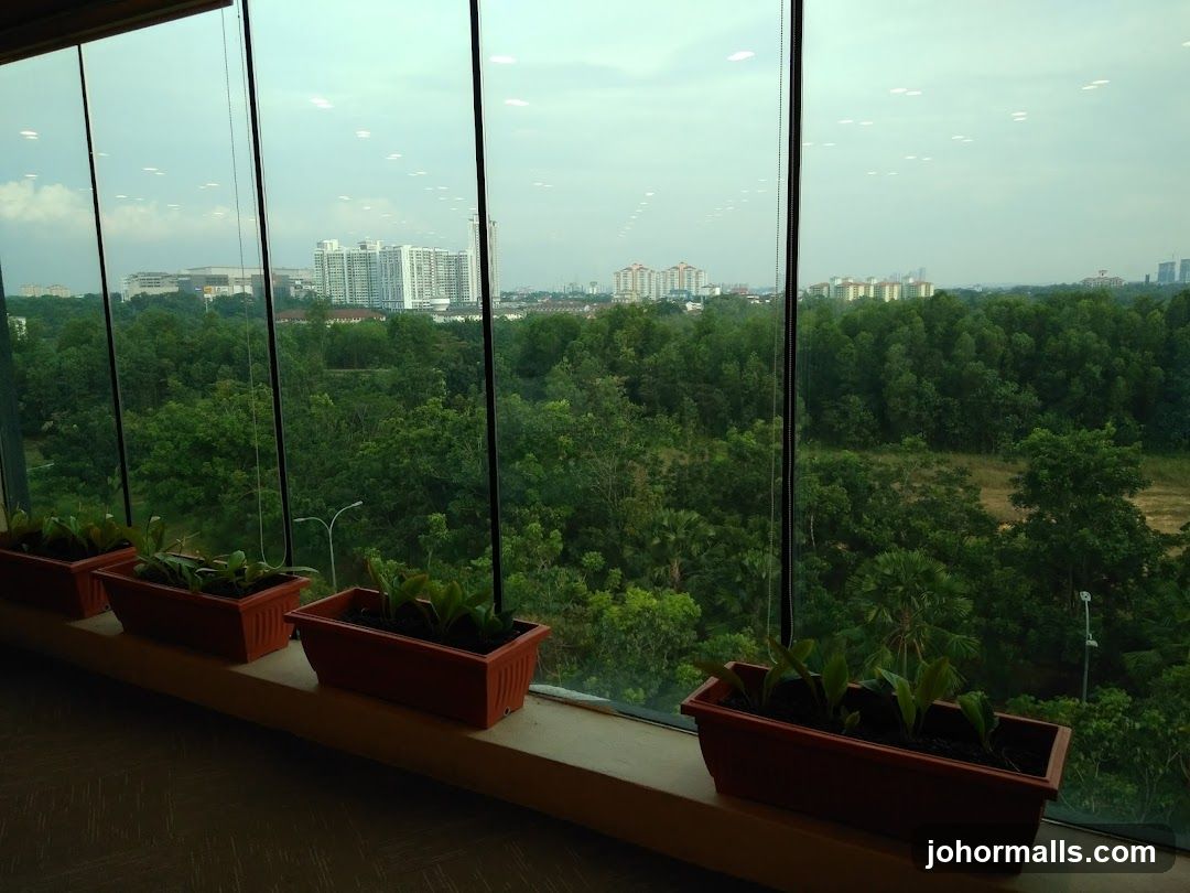 View from a window with potted plants