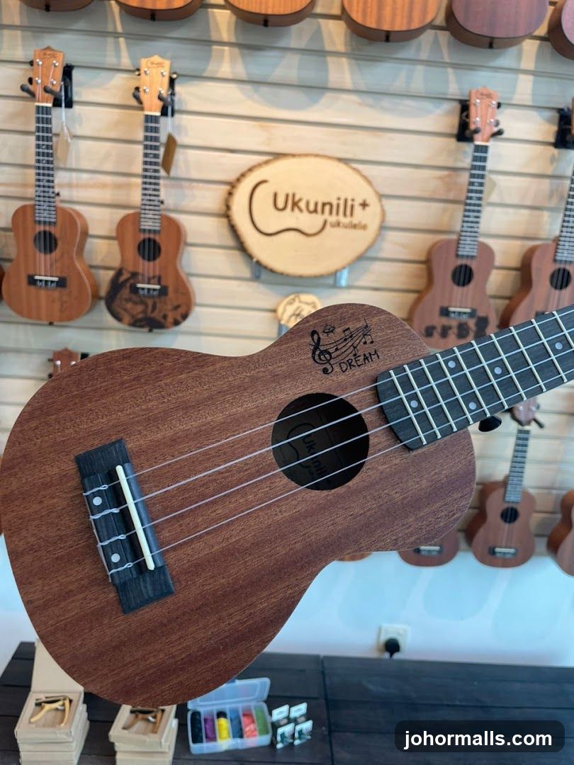 Ukuleles on Display