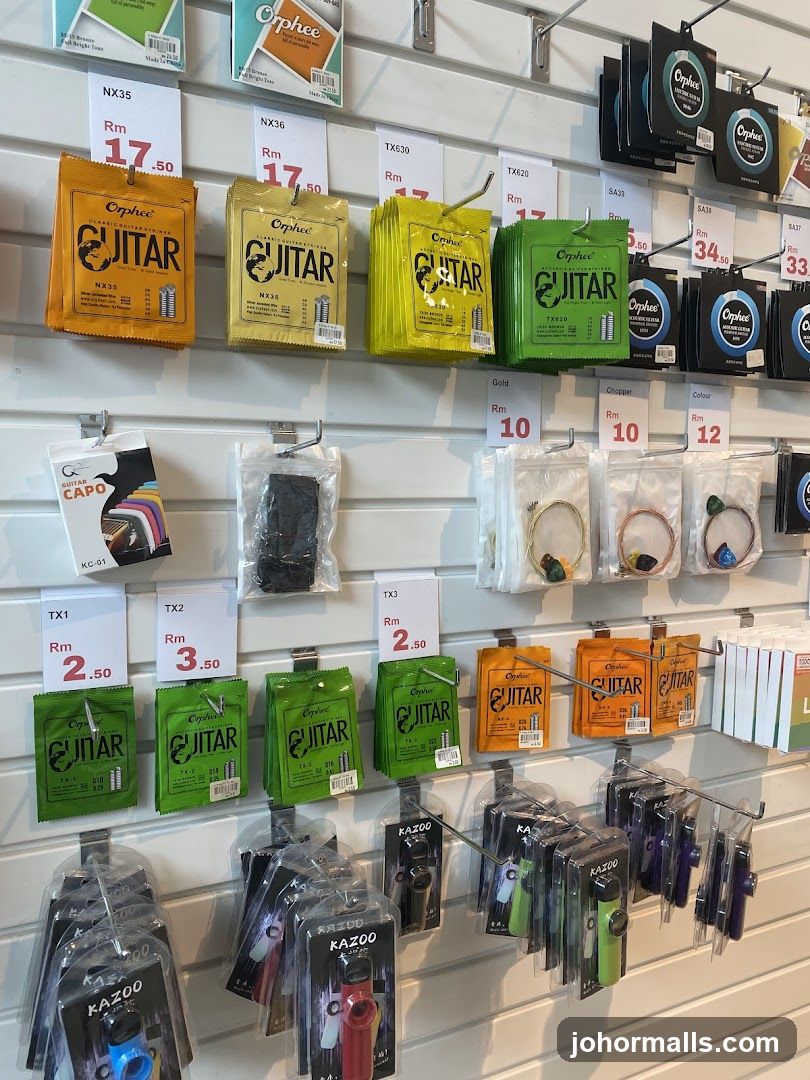Musical Instrument Accessories Display