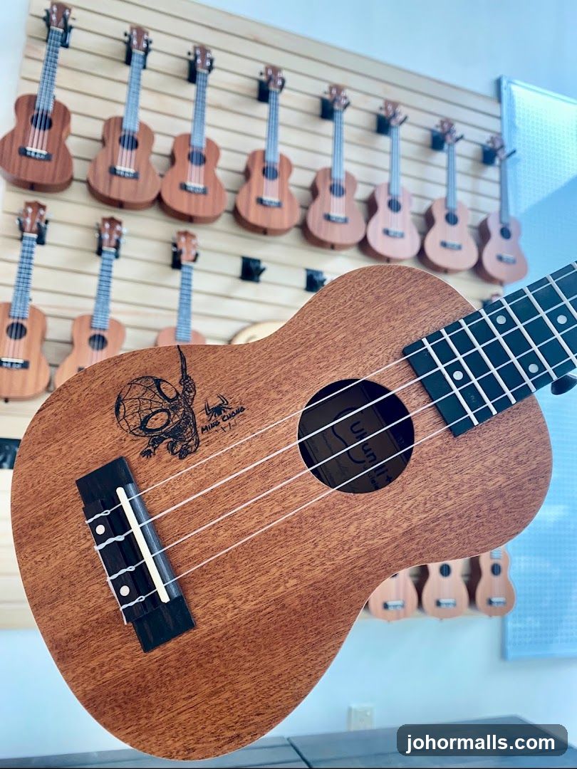 Ukuleles on Display