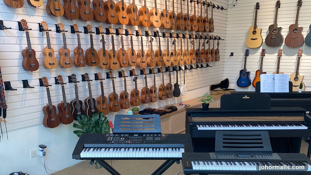 Musical Instrument Store