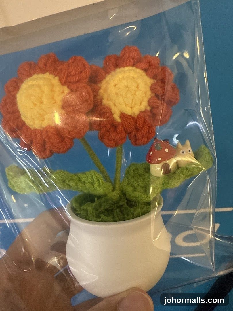 MyLittleFlower (KSL CITYMALL) - 会睡觉的真花， 永生花，夜光花礼品专卖店