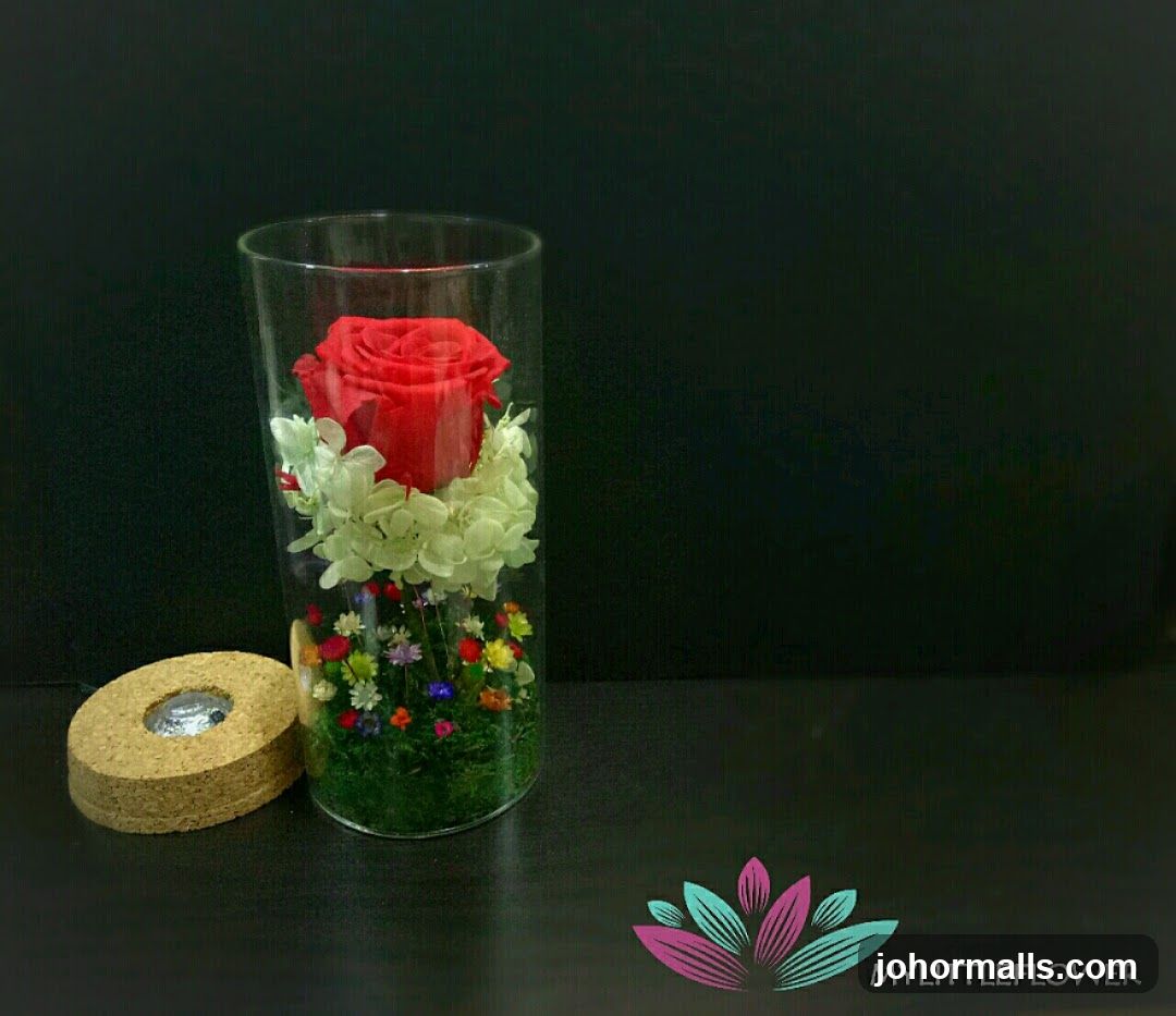 Preserved Rose in Glass Vase