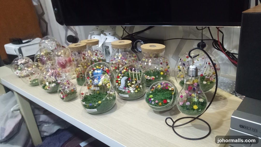 Terrarium Displays