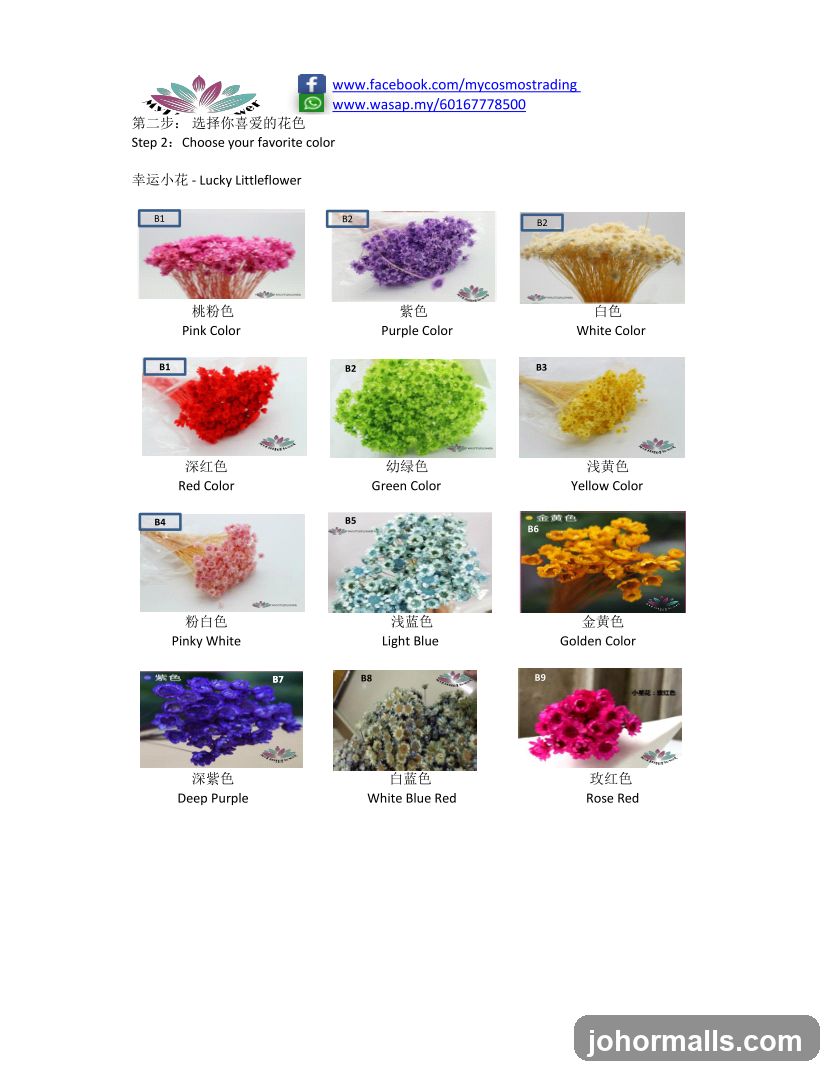 Lucky Littleflower Color Options