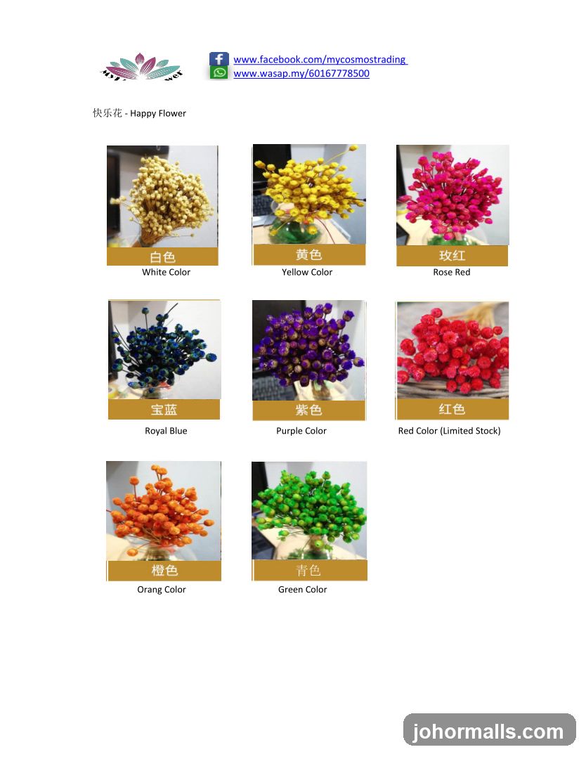 Happy Flower Product Display