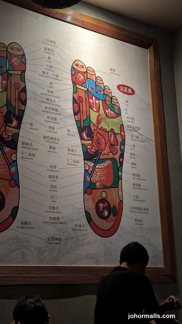 Foot Reflexology Chart