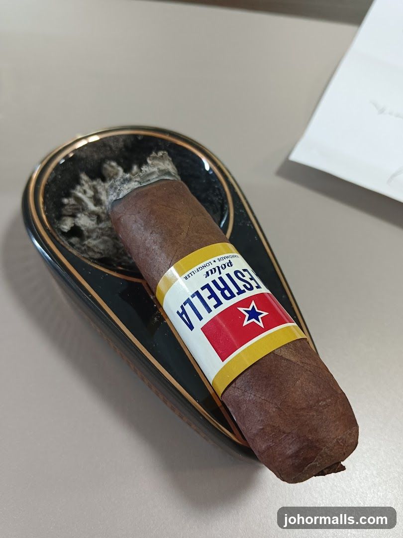 Cigar in Ashtray
