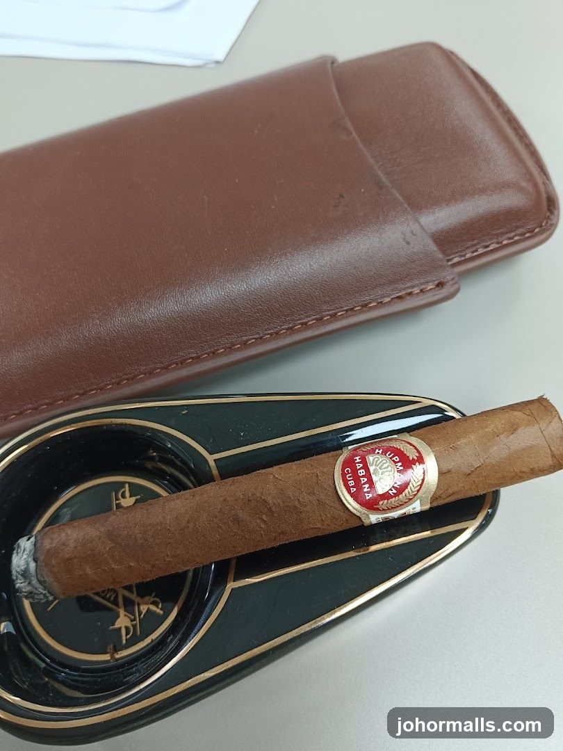 Cigar in Ashtray with Case