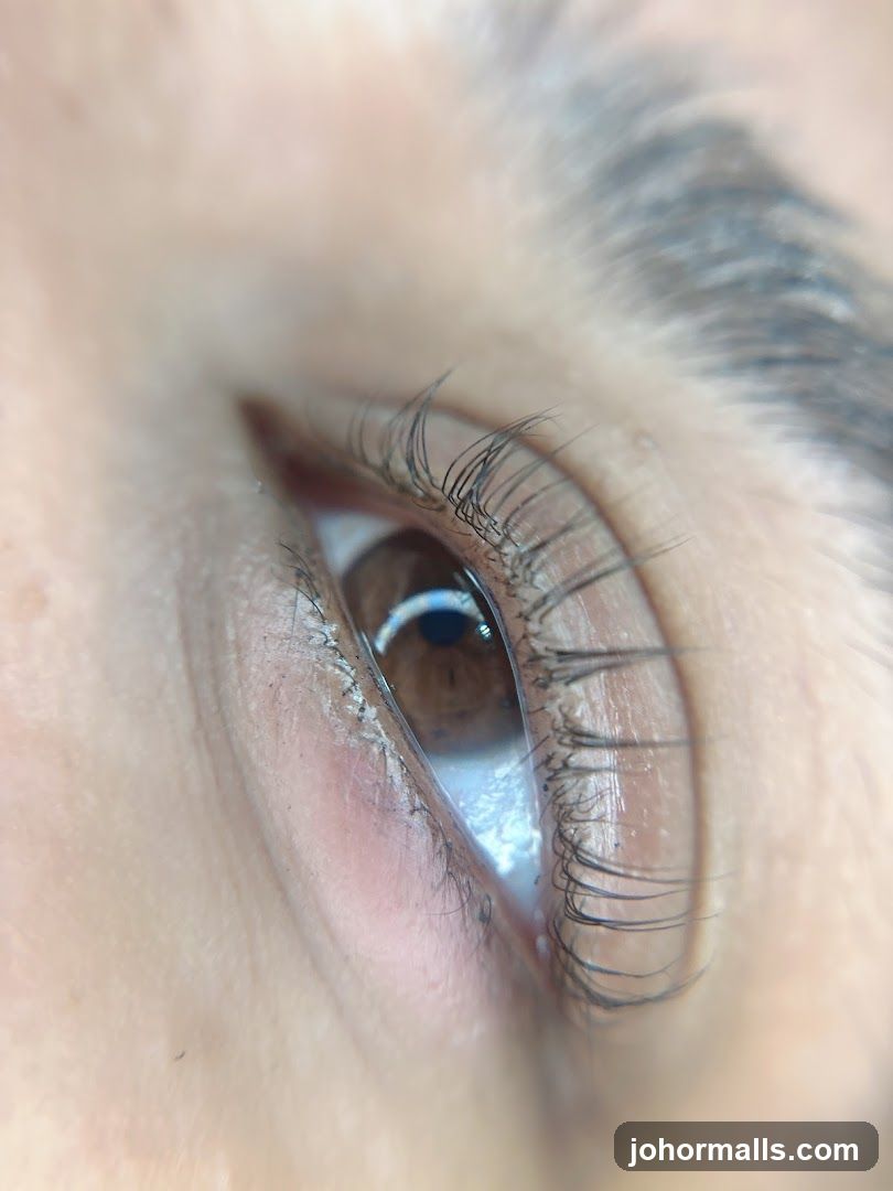 Close-up of an eye