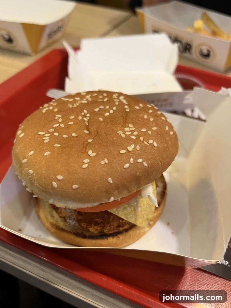 Burger with Fries