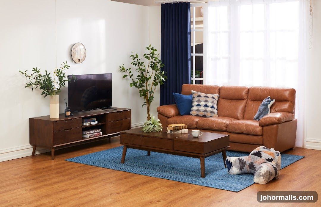 Living Room Setup