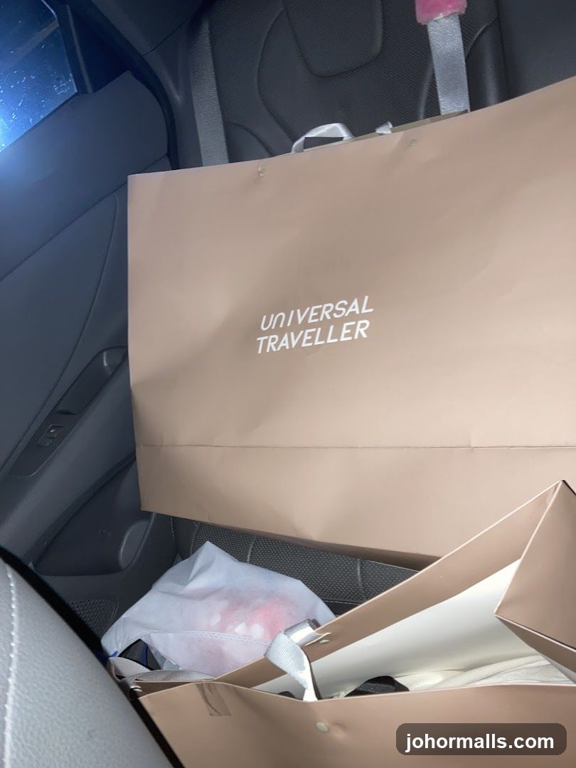 Shopping Bags in Car