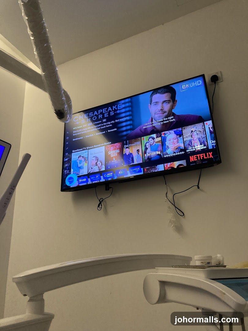 Netflix Interface