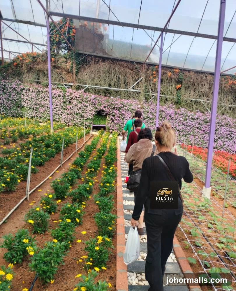 Greenhouse with Flowers