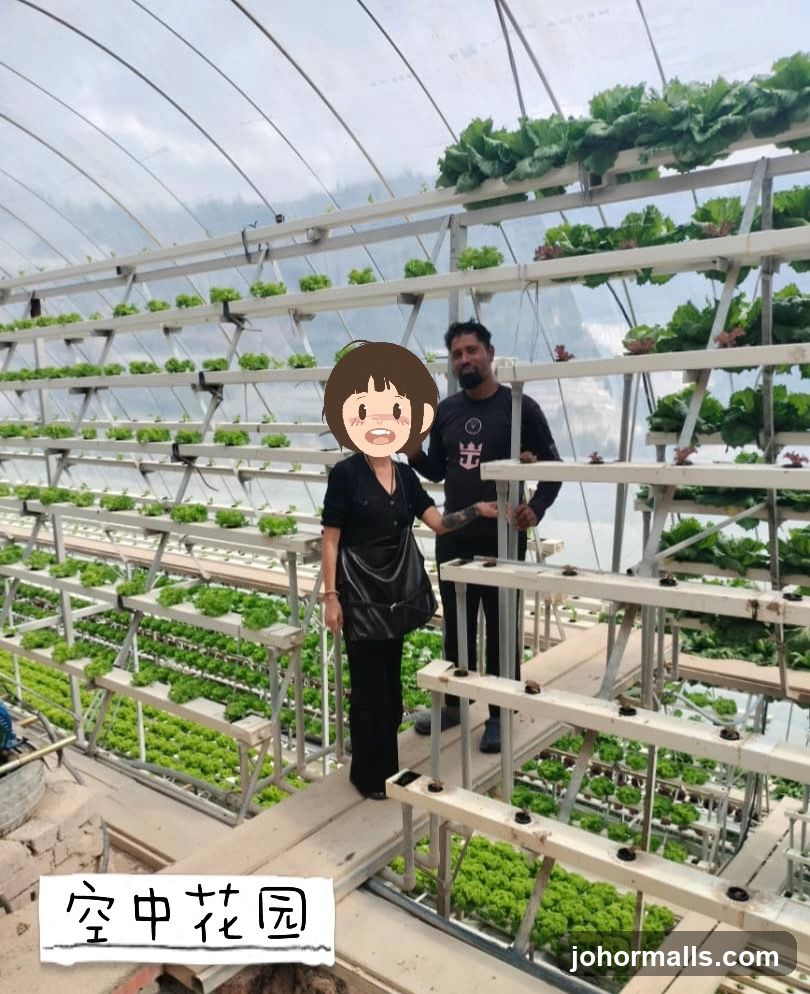 Hydroponic Farm