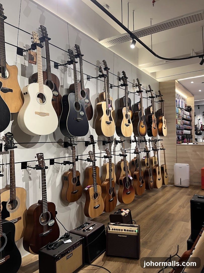 Guitars and Amplifiers Display
