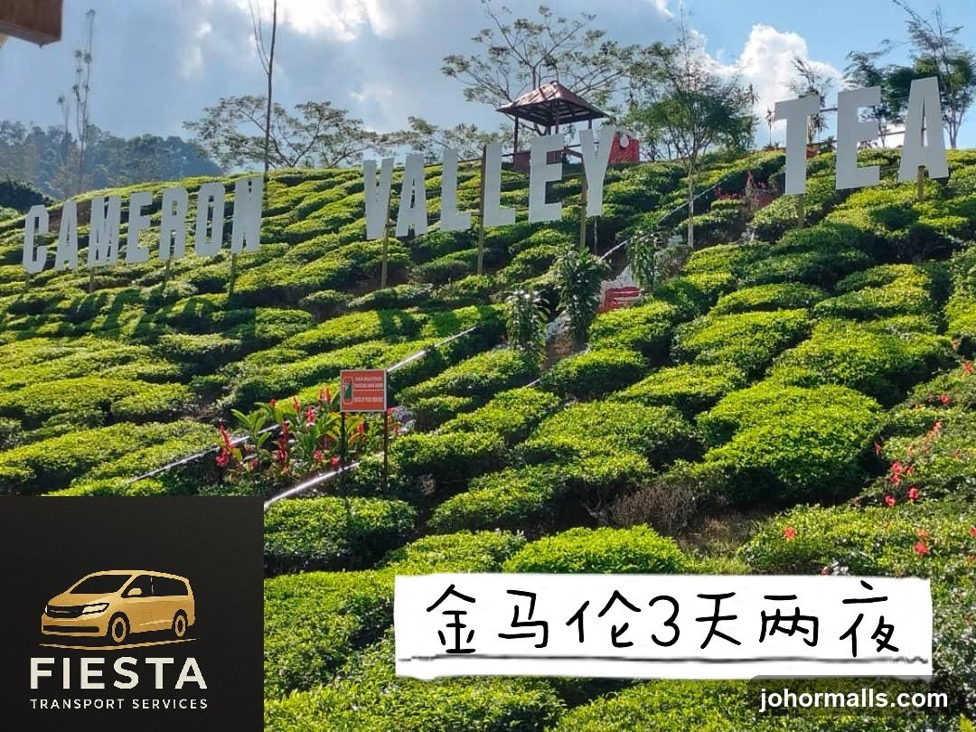 Cameron Valley Tea Plantation
