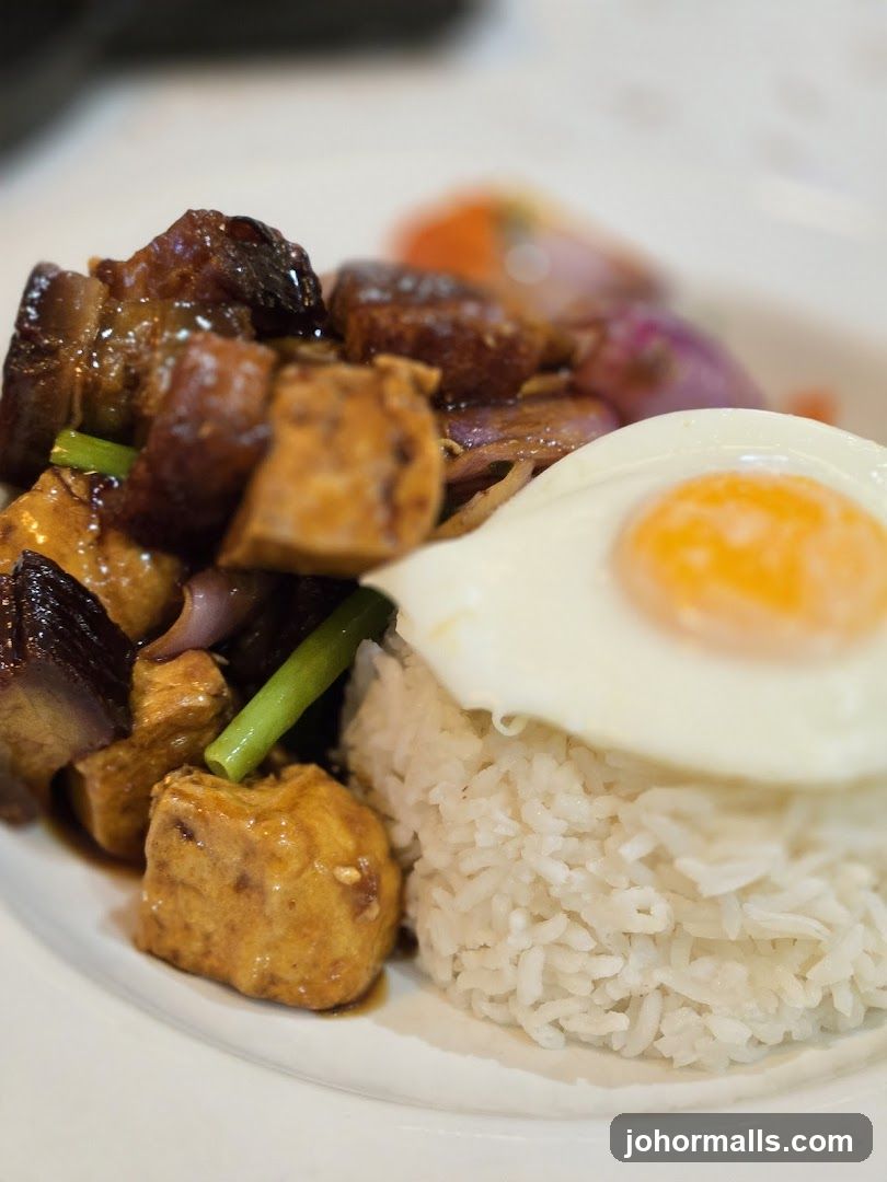 Tofu and Pork Belly with Rice