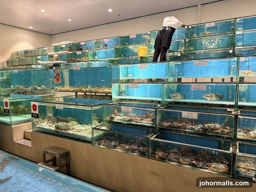 Live Seafood Display
