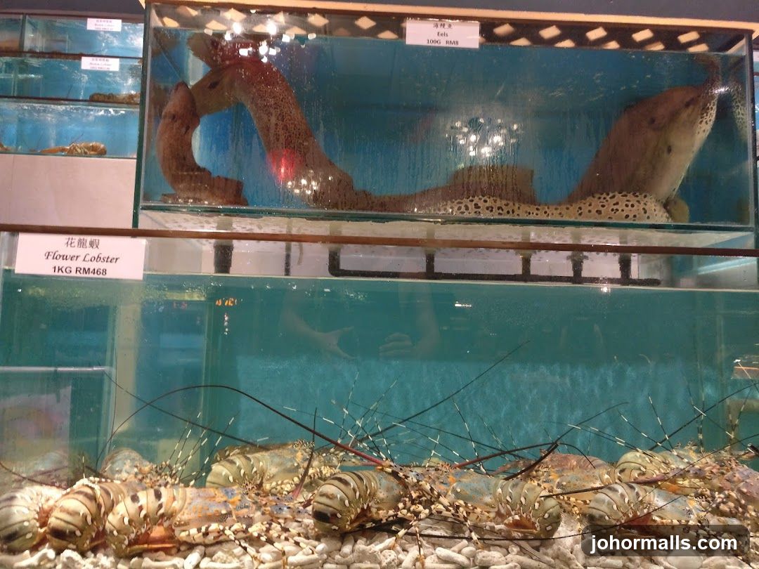 Live Seafood Tanks