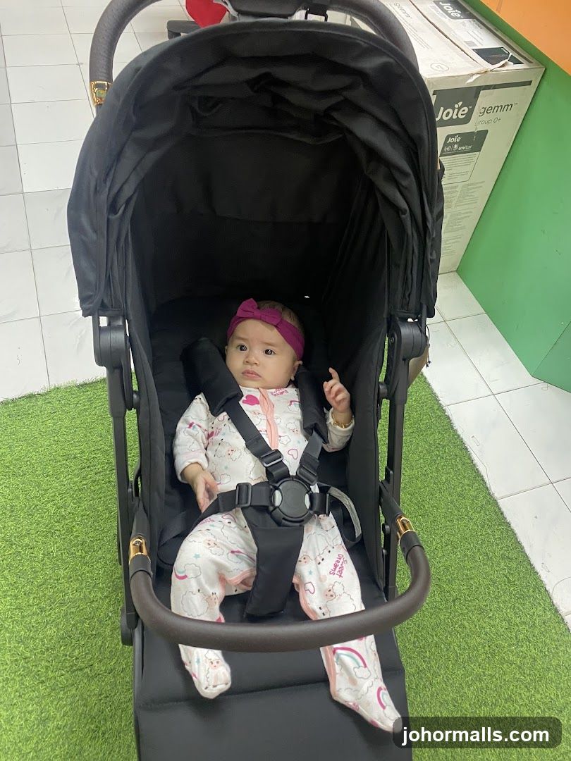 Baby in a stroller