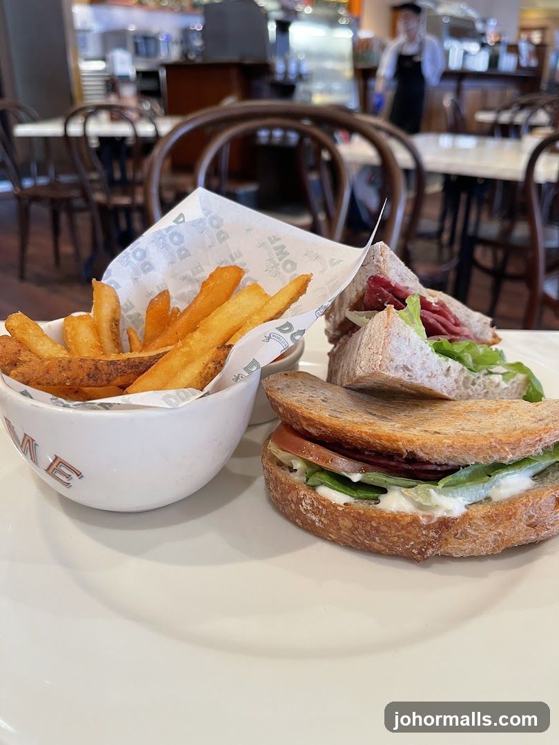 Sandwich and Fries