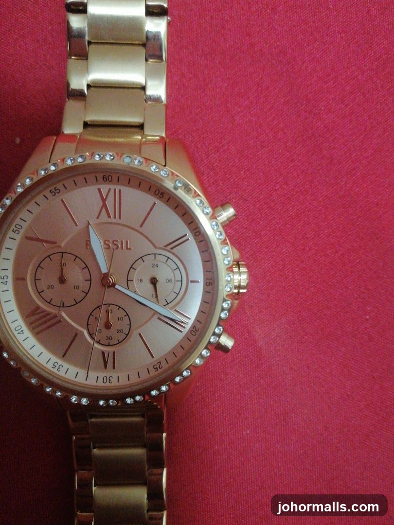 Fossil Watch