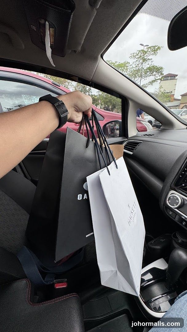 Shopping Bags in Car