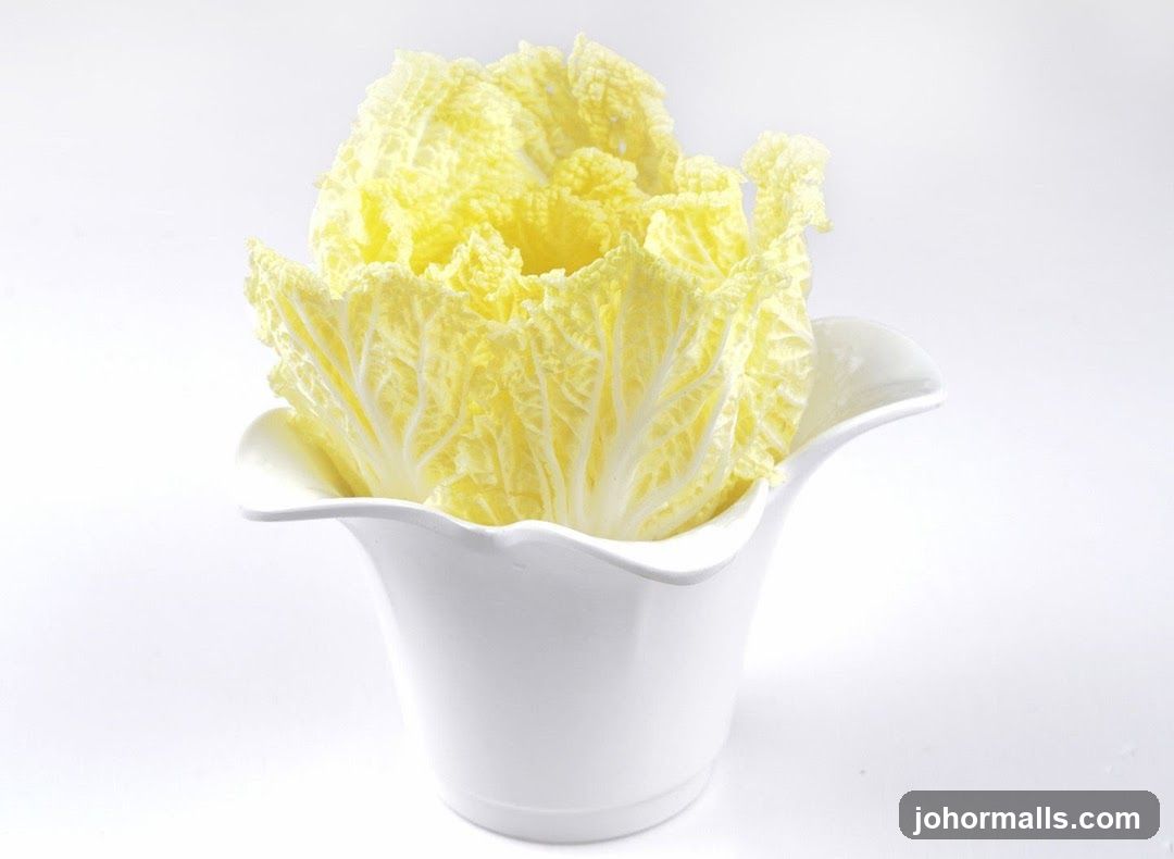 Napa Cabbage in White Container