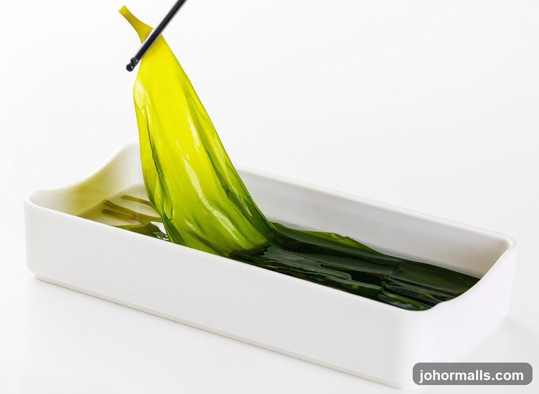 Kelp being prepared