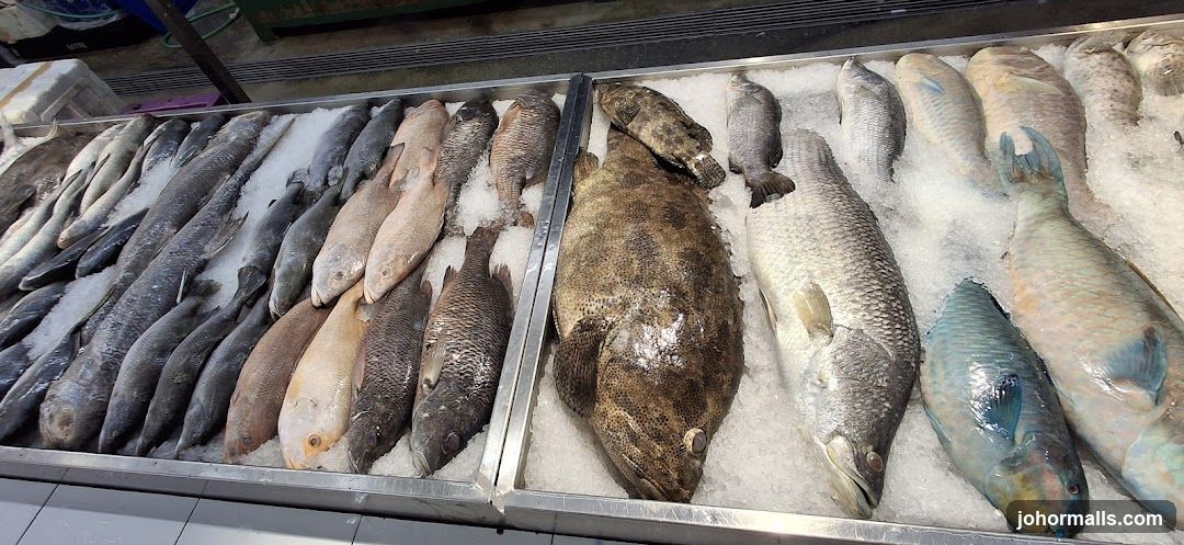 Fresh Fish Display