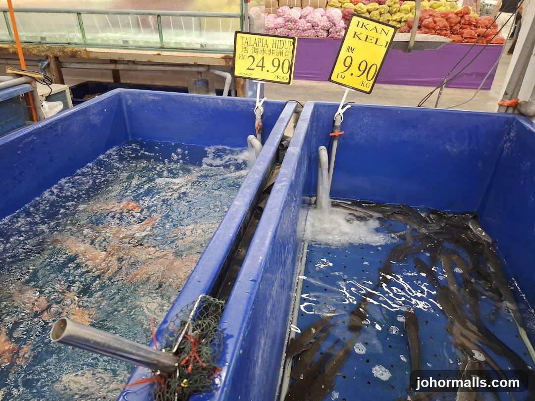 Live Fish Tanks